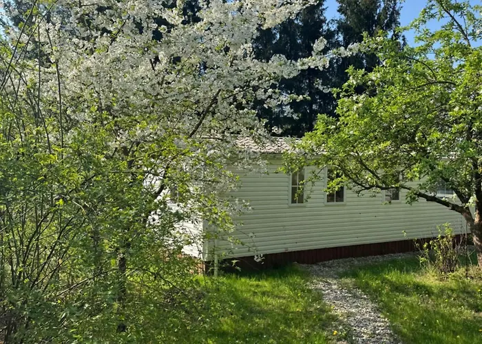 Diamant Сasa de vacaciones